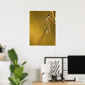 Poster Libellules dorées Photographie Macro Originale (Bureau à domicile)