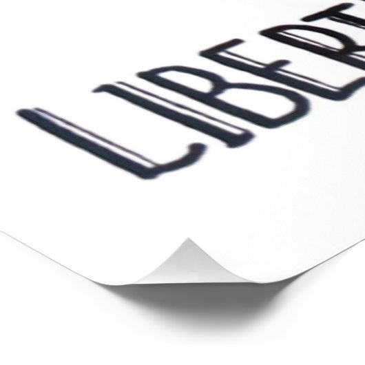 Poster Liberdade Arara (Coin)