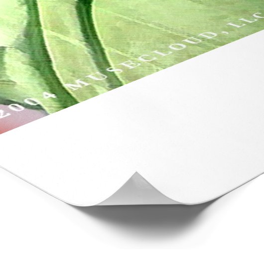 Poster Liberté (Coin)