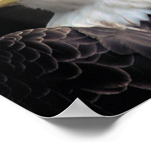 Poster Liberté (Coin)