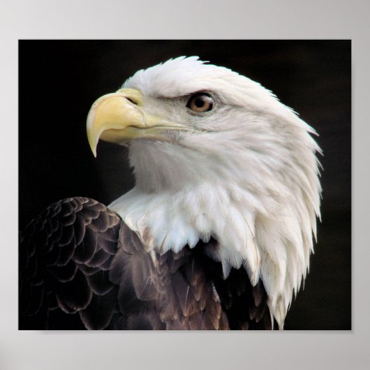 Poster Liberté (Devant)
