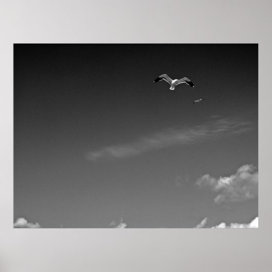 Poster Liberté dans l'AB (Devant)