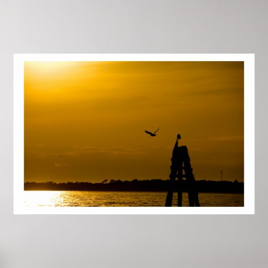 Poster Liberté de vol (Devant)