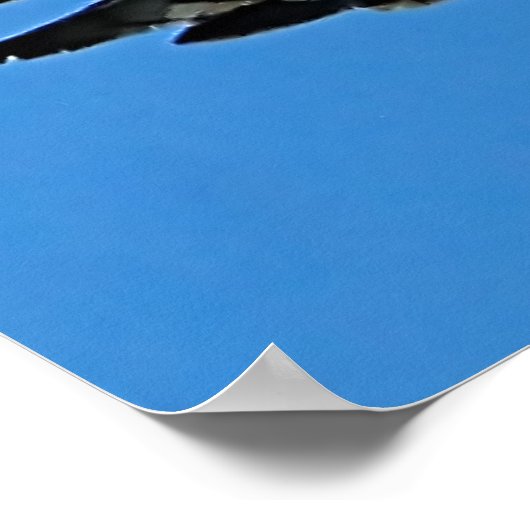 Poster Liberté du ciel Faucon à queue rouge (Coin)