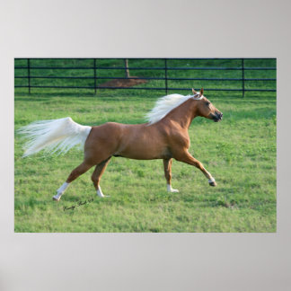 Poster Liberté Joyeuse