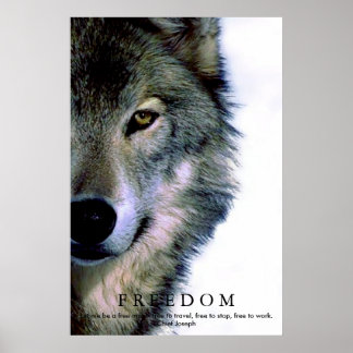 Poster Liberté Motivation loup oeil