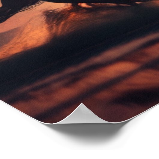 Poster Liberté sur les sables (Coin)