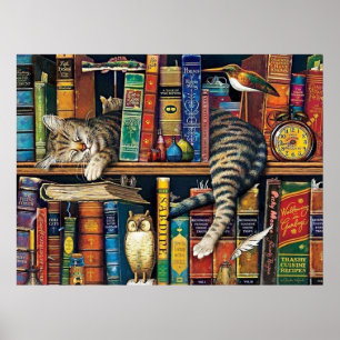 Poster Librairie Chats Bibliothèque