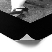 Poster librairie roues virginie ouest (Coin)