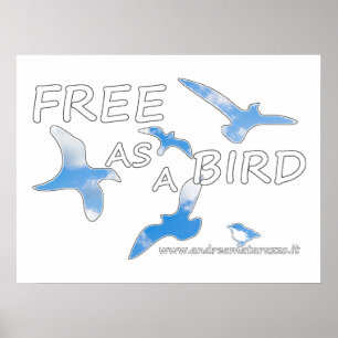 Poster Libre comme un oiseau