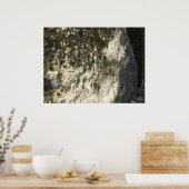 Poster licence de déjeuner (Cuisine)