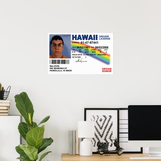 Poster Licence d'identification de faux défaut Superbad (Bureau à domicile)