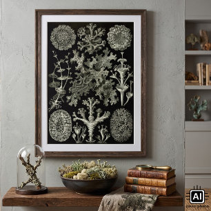 Poster Lichen par Ernst Haeckel, Plantes Vintages de la n