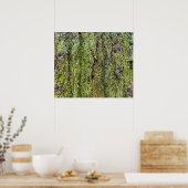 Poster Lichen vert sur l'écorce d'arbre Nature (Cuisine)