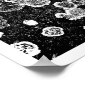 Poster Lichens (Coin)