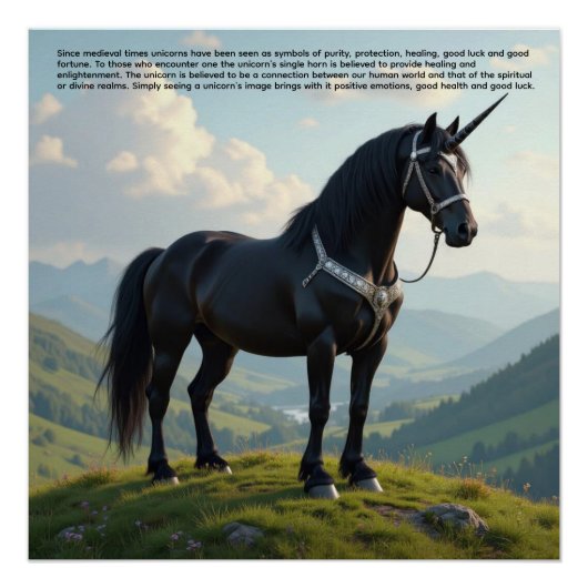 Poster Licorne Chanceuse (Devant)