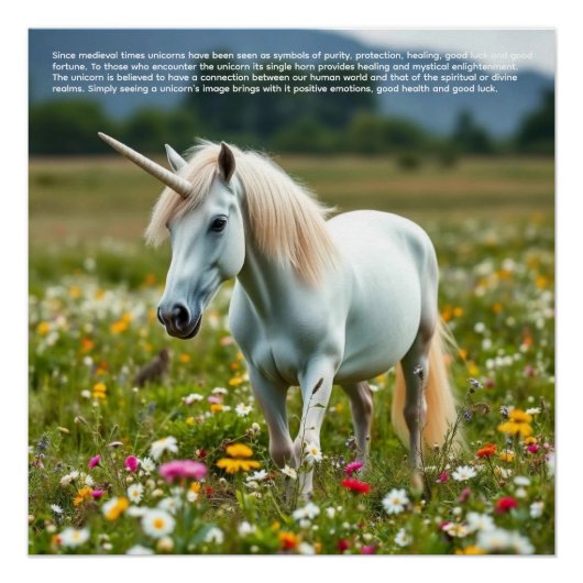 Poster Licorne Chanceuse (Devant)