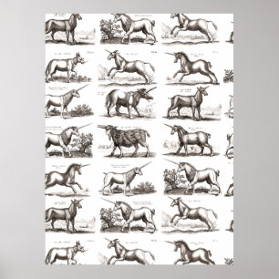 Poster Licorne Classique Antique Créature Magique Mythiqu