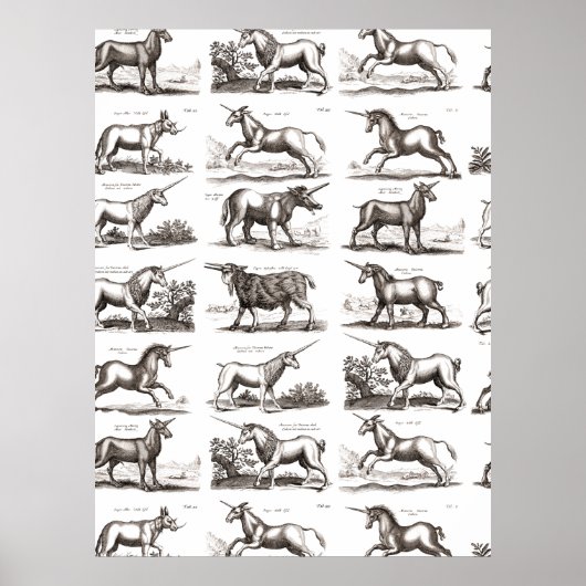 Poster Licorne Classique Antique Créature Magique Mythiqu (Devant)
