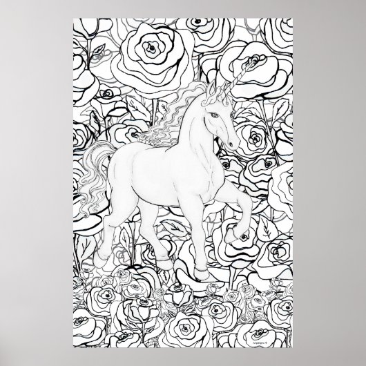 Poster Licorne invisible (Devant)