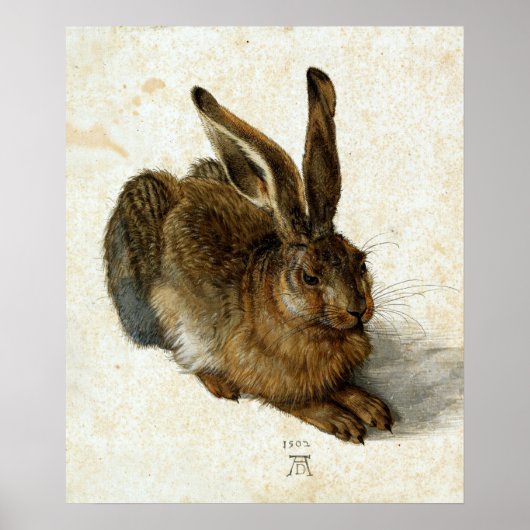 Poster Lien par Albrecht Dürer (Devant)