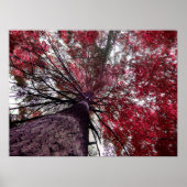 Poster Lien vers le haut (Devant)