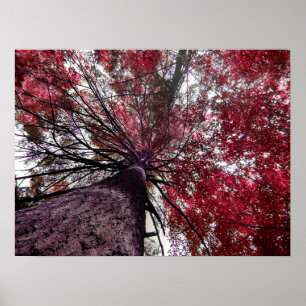 Poster Lien vers le haut