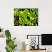 Poster lierre au soleil (Bureau à domicile)