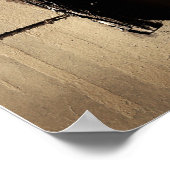 Poster Lierre et ombre (Coin)
