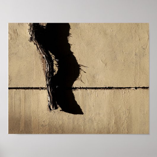 Poster Lierre et ombre (Devant)