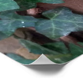 Poster lierre sur arbre (Coin)