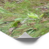 Poster Lieu de l'heure de la fête sympa et amusante (Coin)