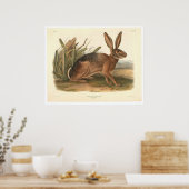 Poster Lièvre de Californie par Audubon (0177A) (Cuisine)