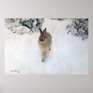 Poster Lièvre d'hiver (lapin), Bruno Liljefors