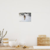 Poster Lièvre d'hiver (lapin), Bruno Liljefors (Cuisine)