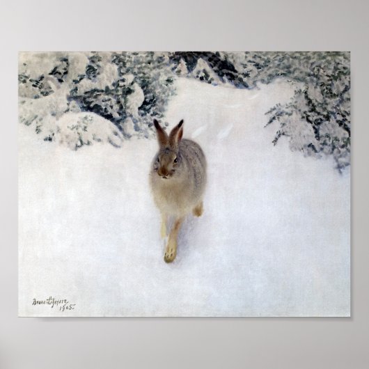 Poster Lièvre d'hiver (lapin), Bruno Liljefors (Devant)