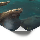 Poster Life In A Fish Bowl no 29 (Coin)