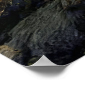 Poster Life in the Valley of Giants (Coin)