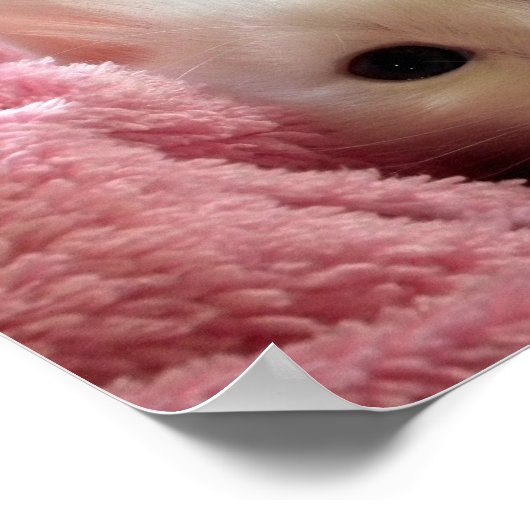 Poster LifeIs Simple BeYself Kitten Citation Motivationne (Coin)