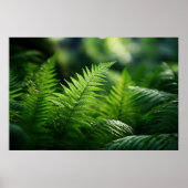 Poster Light and Ferns (Devant)