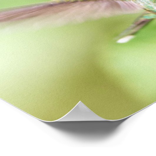 Poster Light Hummingbird Landing on a Branch (Coin)