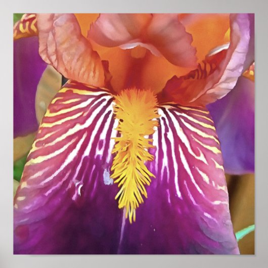 Poster Light Iris Macro Artistique Abstrait (Devant)