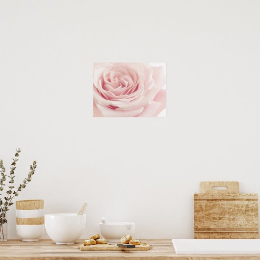 Poster Light Pink Rose Flower (Cuisine)