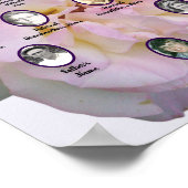 Poster Light Pink Rose Photo with Oval Ancestor Photos (Coin)
