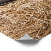 Poster Ligne de bottes de cowboy sur botte de foin (Coin)