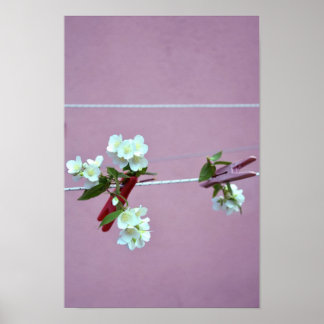 Poster Ligne de ressort