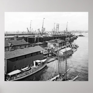 Poster Ligne Holland America