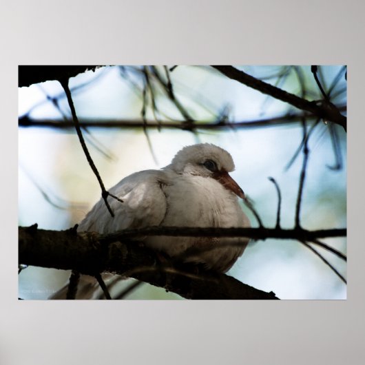 Poster Ligne principale (Devant)