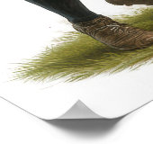 Poster Ligne - Rugby Vintage (Coin)