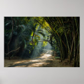 Poster Lignes de Bambou (Devant)